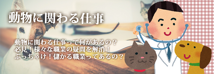 動物に関わる仕事|・国家資格って難しい?・必見!現役翻訳者が教える仕事内容・ぶっちゃけ!翻訳者の年収ってどれくらい?